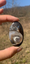 Charger l'image dans la galerie, VENDU Ammonite noire 16