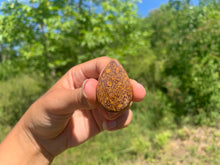 Charger l'image dans la galerie, Jaspe Mariam 14