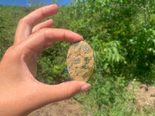 Charger l'image dans la galerie, Rhyolite 1
