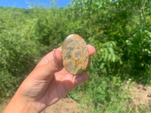 Charger l'image dans la galerie, Rhyolite 1