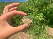 Charger l'image dans la galerie, Rhyolite 6