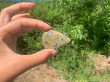 Charger l'image dans la galerie, Rhyolite 9