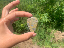 Charger l'image dans la galerie, Rhyolite 9