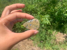 Charger l'image dans la galerie, Rhyolite 9