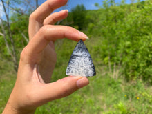 Charger l'image dans la galerie, VENDU Agate dendritique 1