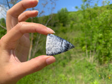 Charger l'image dans la galerie, VENDU Agate dendritique 1