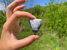 Charger l'image dans la galerie, VENDU Agate dendritique 1