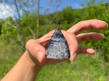 Charger l'image dans la galerie, VENDU Agate dendritique 1