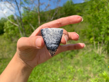 Charger l'image dans la galerie, VENDU Agate dendritique 1