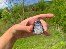 Charger l'image dans la galerie, VENDU Agate dendritique 1