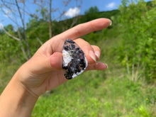 Charger l'image dans la galerie, VENDU Agate dendritique 2