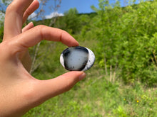 Charger l'image dans la galerie, VENDU Agate dendritique 3