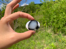 Charger l'image dans la galerie, VENDU Agate dendritique 3