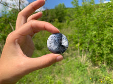 Charger l'image dans la galerie, VENDU Agate dendritique 6