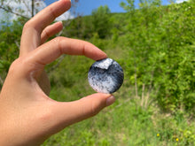 Charger l'image dans la galerie, VENDU Agate dendritique 6