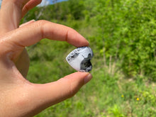 Charger l'image dans la galerie, VENDU Agate dendritique 7