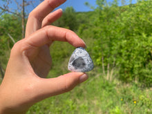 Charger l'image dans la galerie, VENDU Agate dendritique 9