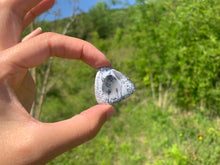 Charger l'image dans la galerie, VENDU Agate dendritique 9