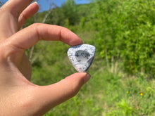 Charger l'image dans la galerie, VENDU Agate dendritique 9