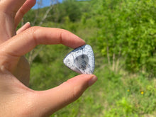 Charger l'image dans la galerie, VENDU Agate dendritique 9