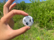 Charger l'image dans la galerie, VENDU Agate dendritique 10