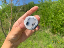 Charger l'image dans la galerie, VENDU Agate dendritique 10