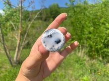 Charger l'image dans la galerie, VENDU Agate dendritique 10