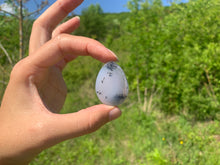 Charger l'image dans la galerie, VENDU Agate dendritique 11