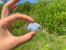 Charger l'image dans la galerie, VENDU Agate dendritique 11