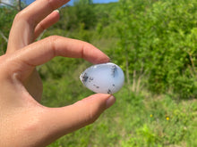 Charger l'image dans la galerie, VENDU Agate dendritique 11