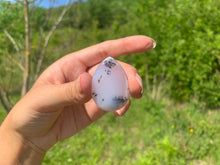 Charger l'image dans la galerie, VENDU Agate dendritique 11