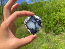 Charger l'image dans la galerie, VENDU Agate dendritique 12