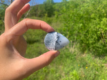 Charger l'image dans la galerie, VENDU Agate dendritique 16