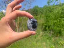 Charger l'image dans la galerie, VENDU Agate dendritique 20