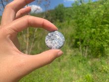 Charger l'image dans la galerie, VENDU Agate dendritique 21