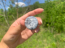 Charger l'image dans la galerie, VENDU Agate dendritique 21