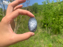 Charger l'image dans la galerie, VENDU Agate dendritique 23