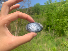 Charger l'image dans la galerie, VENDU Agate dendritique 23