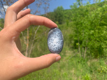 Charger l'image dans la galerie, VENDU Agate dendritique 23