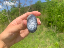 Charger l'image dans la galerie, VENDU Agate dendritique 23