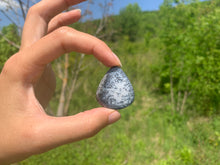 Charger l'image dans la galerie, VENDU Agate dendritique 24