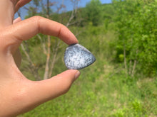 Charger l'image dans la galerie, VENDU Agate dendritique 24