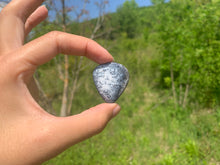 Charger l'image dans la galerie, VENDU Agate dendritique 24