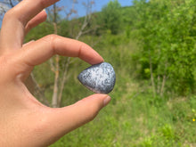 Charger l'image dans la galerie, VENDU Agate dendritique 24