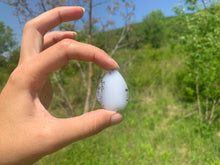 Charger l'image dans la galerie, VENDU Agate dendritique 25