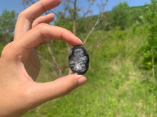 Charger l'image dans la galerie, VENDU Agate dendritique 27