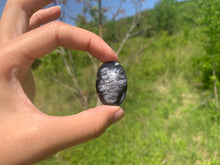 Charger l'image dans la galerie, VENDU Agate dendritique 27