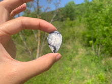 Charger l'image dans la galerie, VENDU Agate dendritique 28