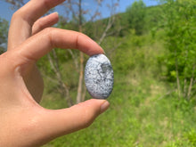 Charger l'image dans la galerie, VENDU Agate dendritique 29