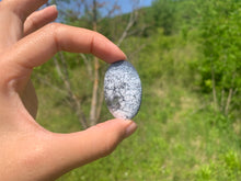 Charger l'image dans la galerie, VENDU Agate dendritique 29